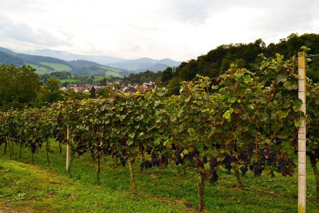 Kuner Weitzel Landgasthof Frohe Einkehr Gbr Merzhausen ภายนอก รูปภาพ